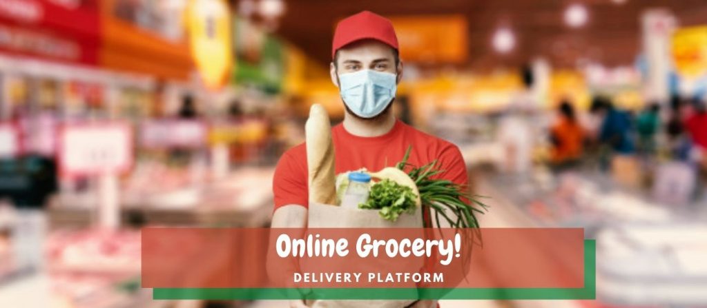 online grocery delivery software